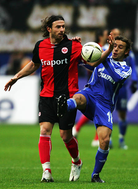 哪些关键因 哪些关键因